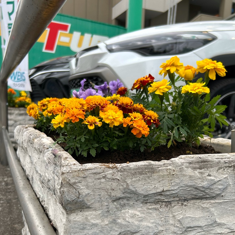 ティーアップ東名川崎店の花壇更新しました。