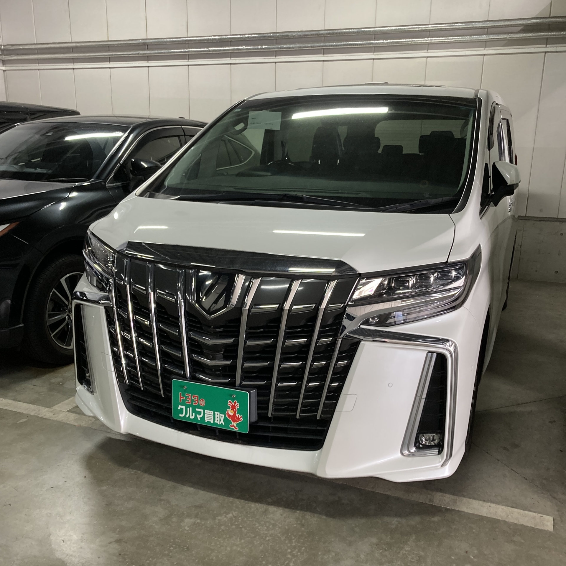 買取実績0541トヨタアルファード_8