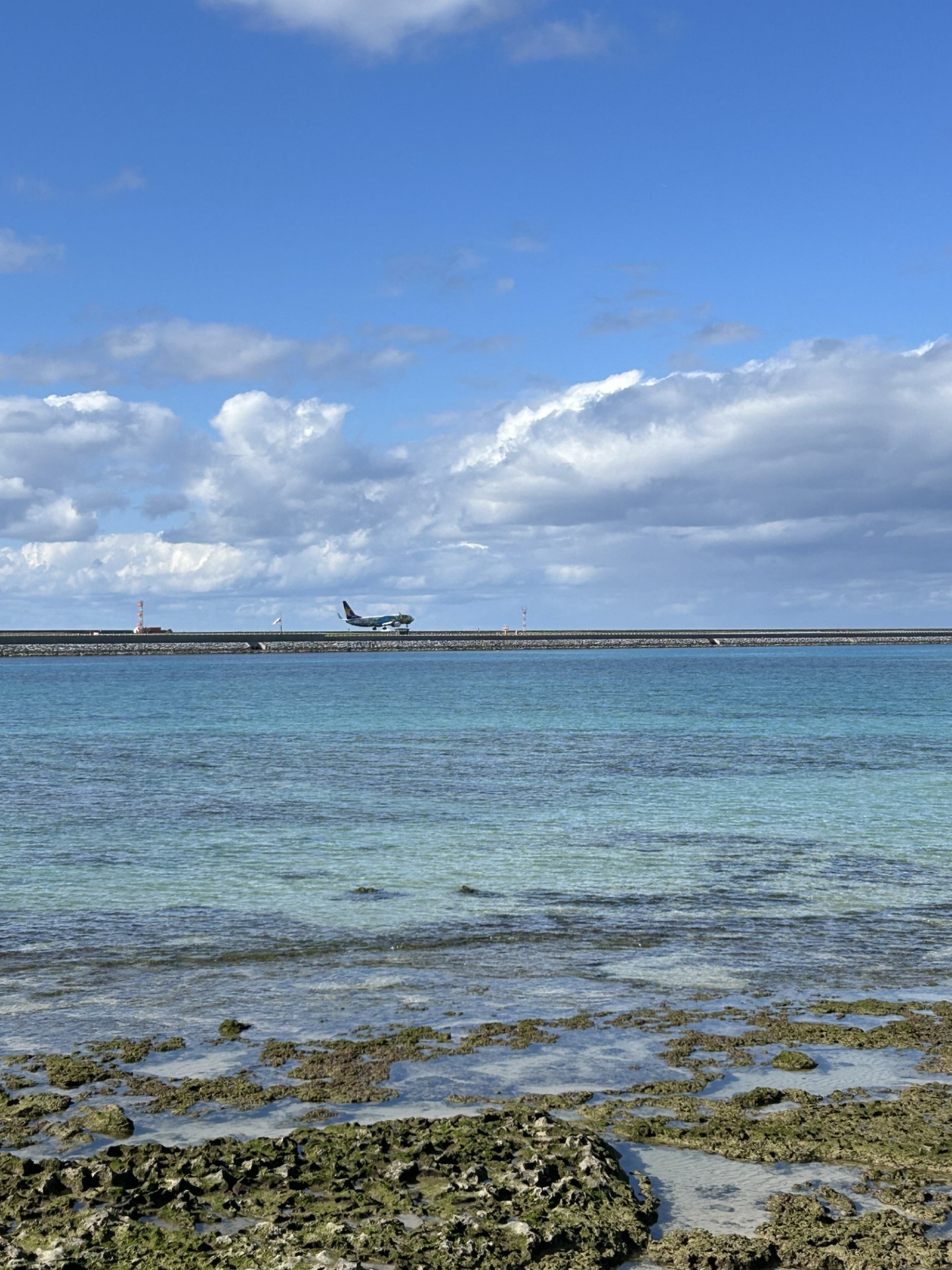 とある店長の休日