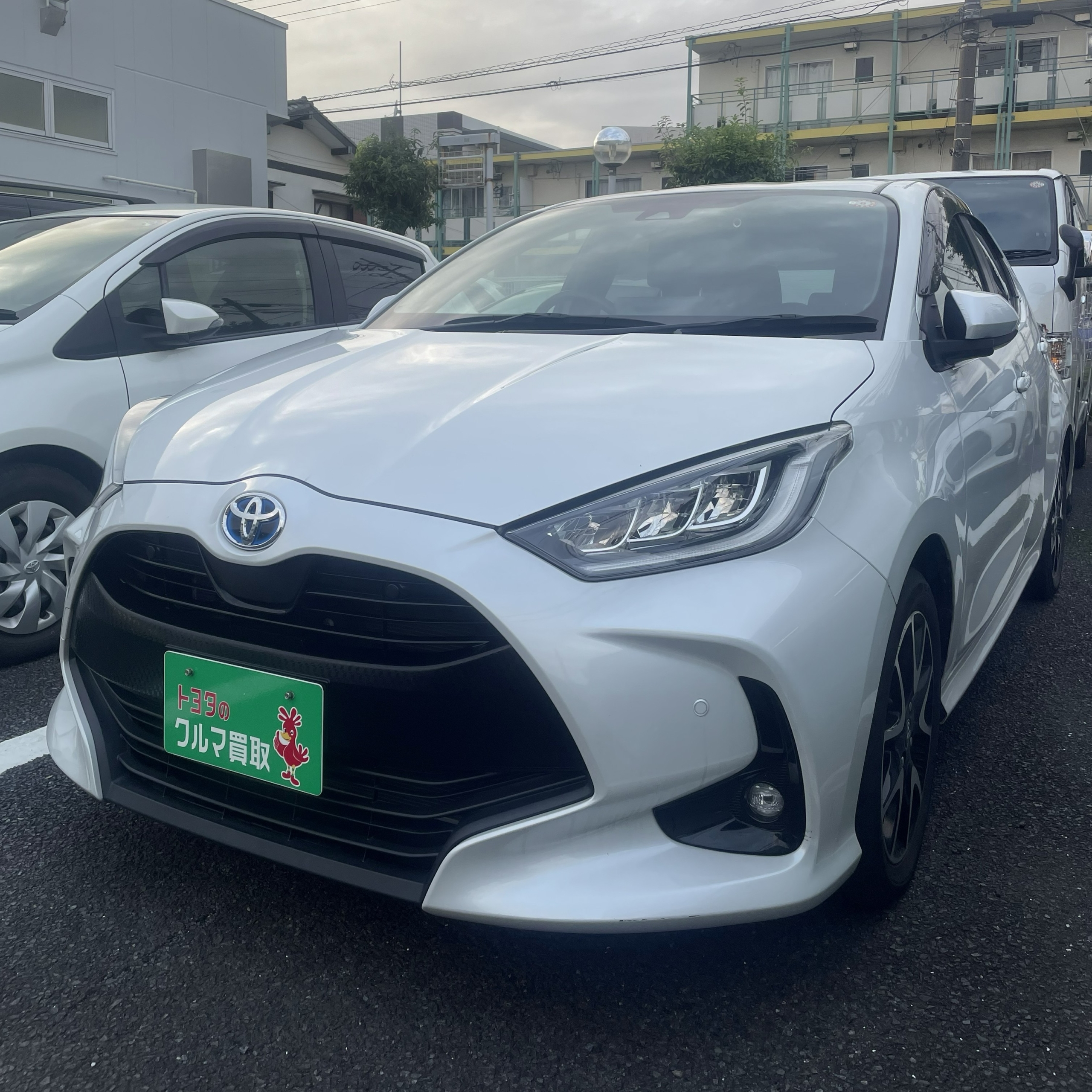 買取実績0618トヨタヤリス_1