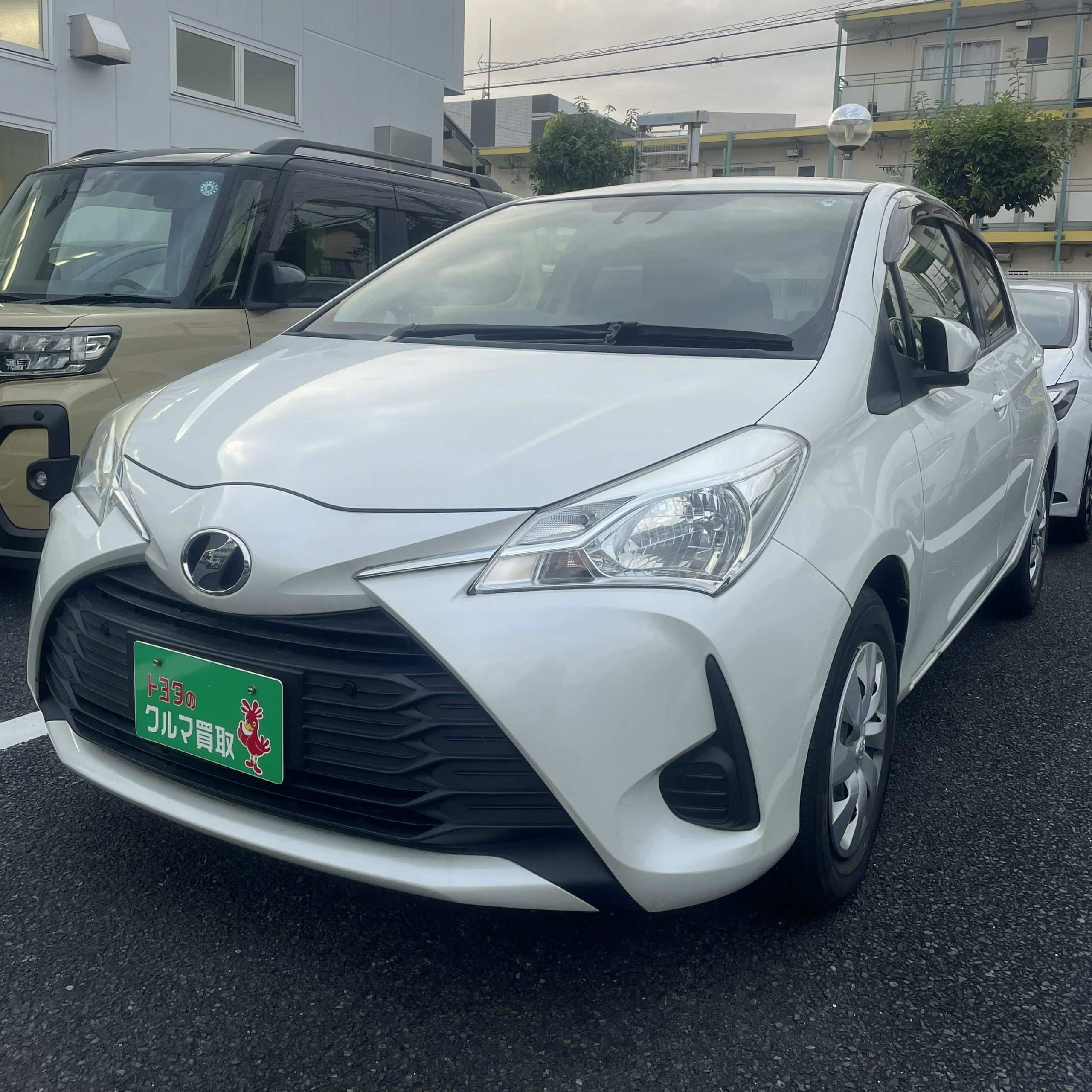 買取実績0614トヨタヴィッツ_1