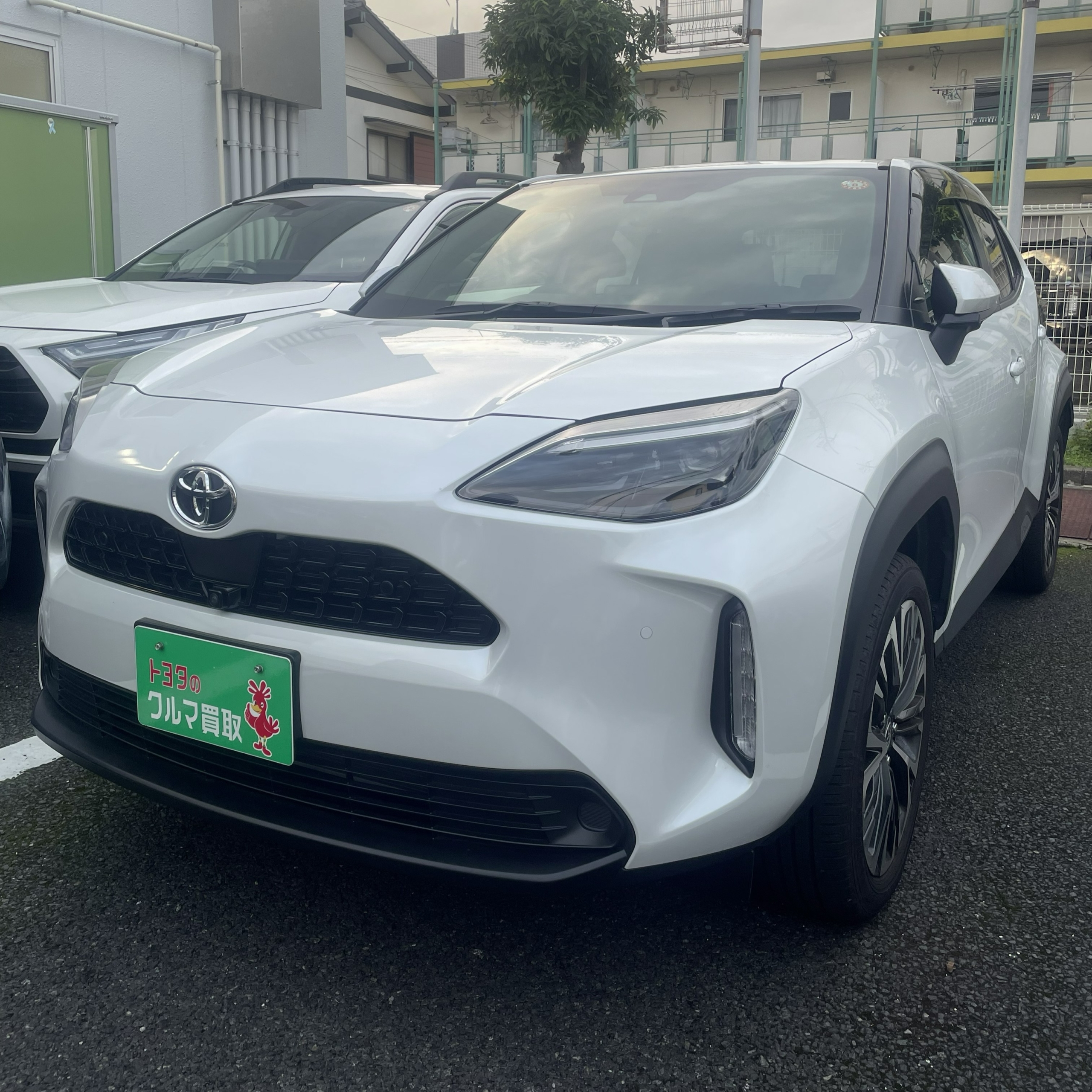 買取実績0615トヨタヤリスクロス_1