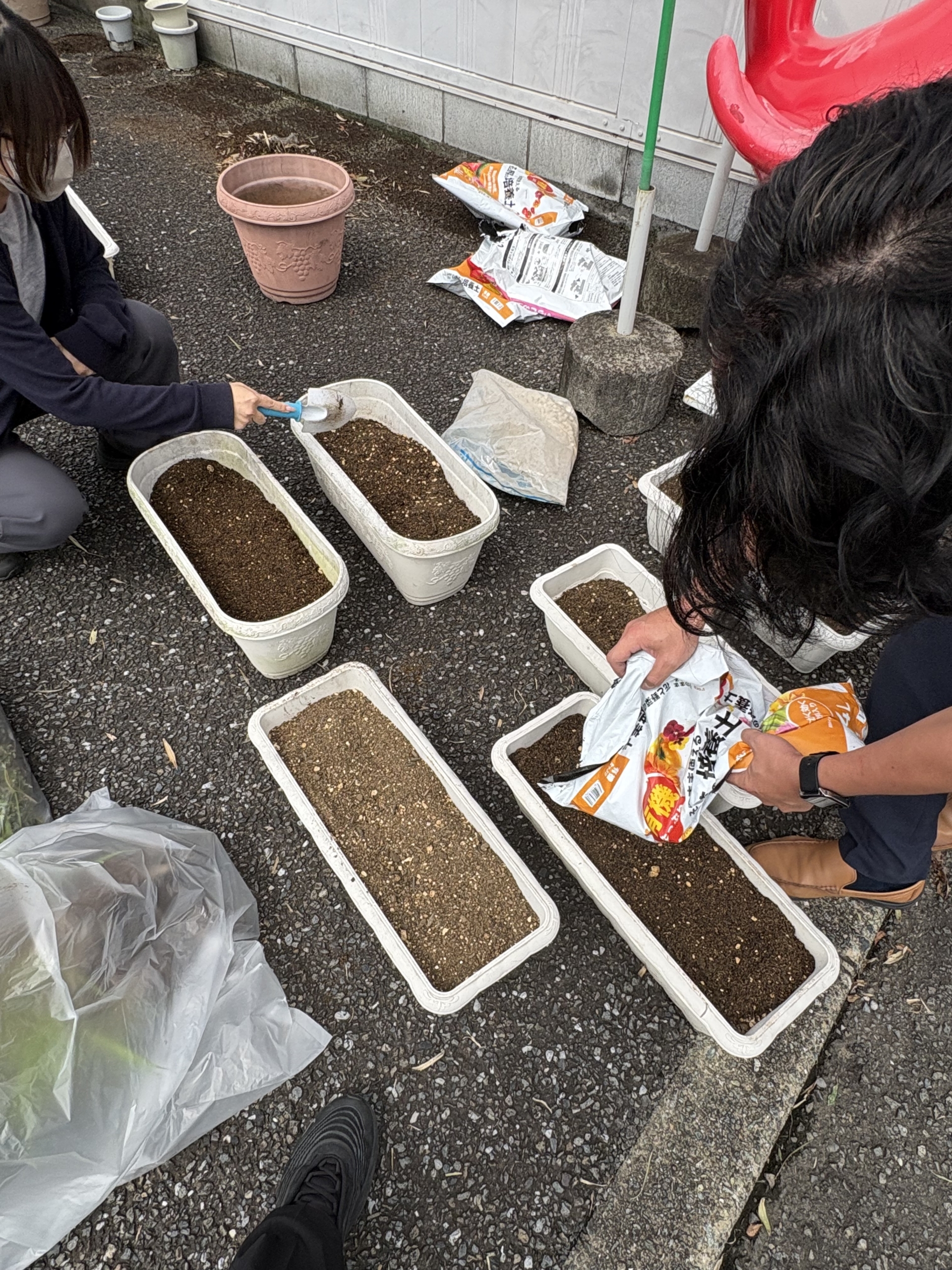 家庭菜園を始めました！！
